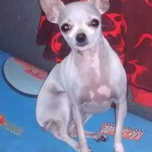 Meet your Posher, Loretta